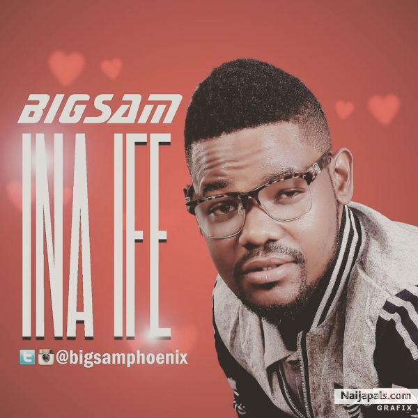 INA IFE