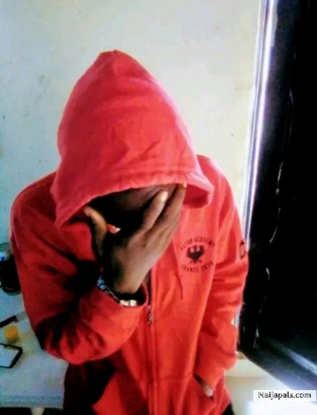  - click for next photo