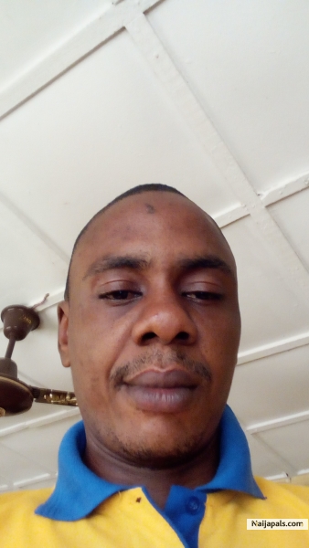 New look mi. - click for next photo