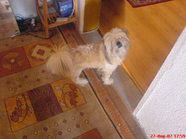 A mans best friend - click for next photo