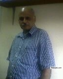 papilo - click for next photo