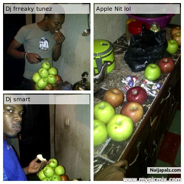 Apple nit - click for next photo