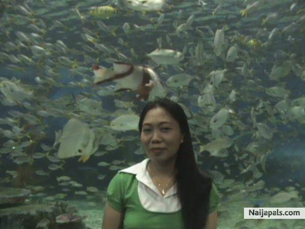 MANILA OCEAN PARK - click for next photo