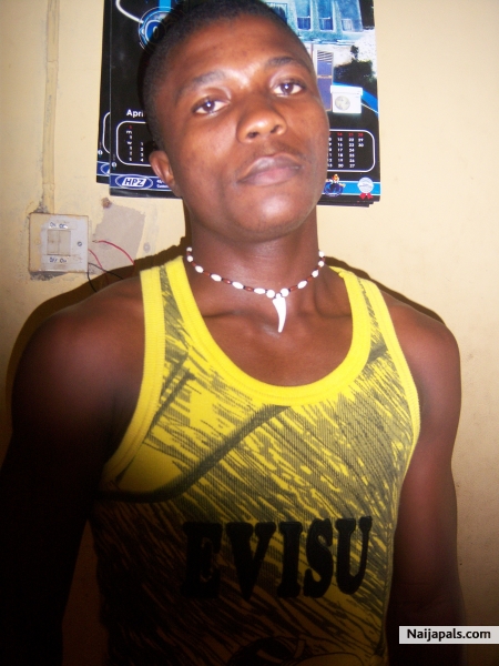  - click for next photo