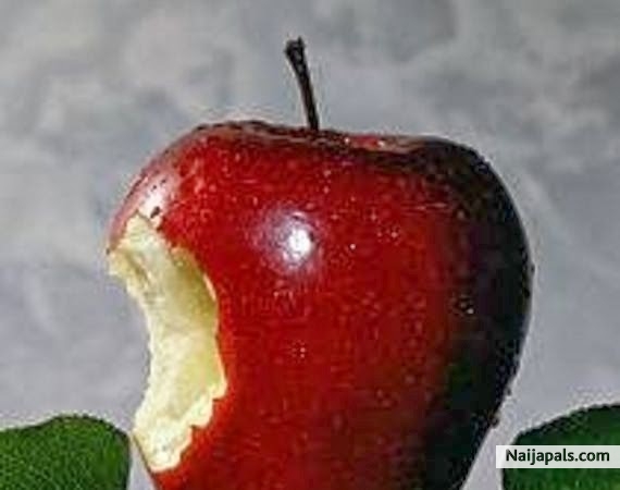 Apple Rules! - click for next photo