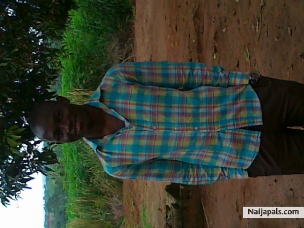 kene - click for next photo