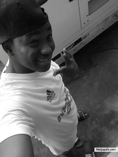 kingjay - click for next photo