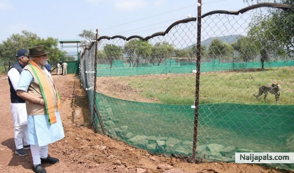 my lodging at the zoo! (everybody me koh dey see weder of Naijapals or not, look to deh wear traditional designed clothings) - click for next photo