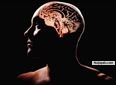 Brain power - click for next photo