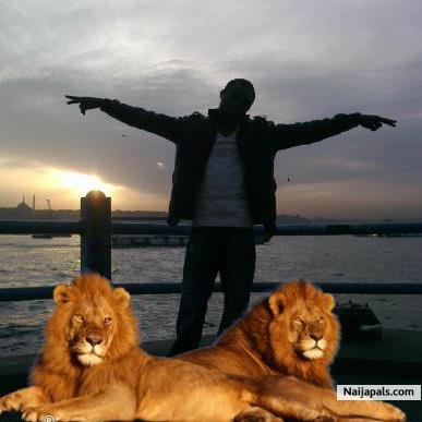 lions 4 real - click for next photo