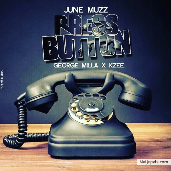 Press button-naijapals.com