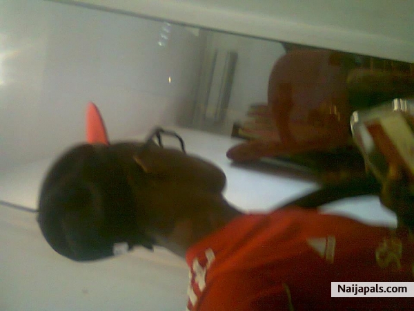  - click for next photo