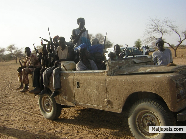 Darfur rebels - click for next photo