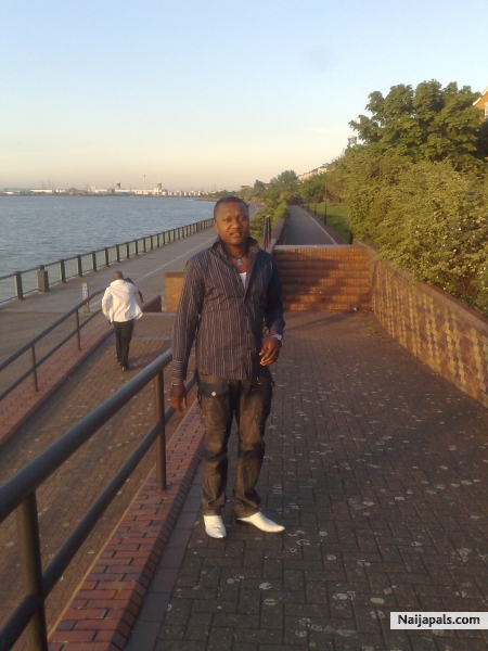 dazzy - click for next photo