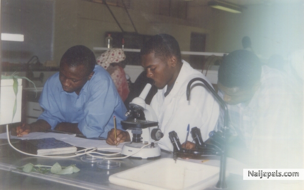 In my Lab. - click for next photo
