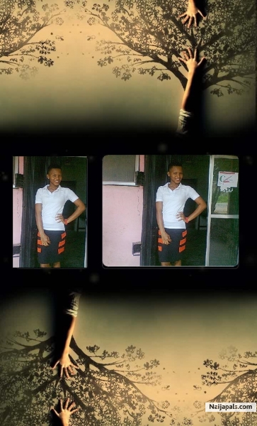  - click for next photo