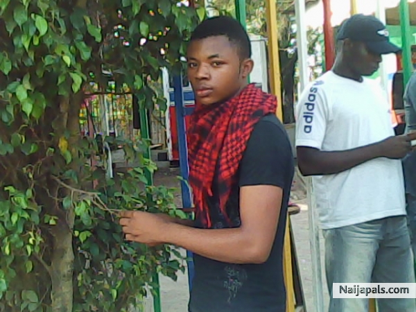  - click for next photo