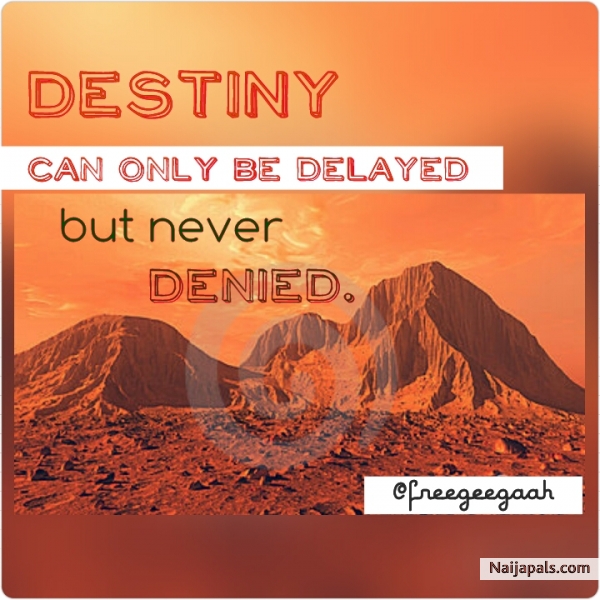 Destiny - click for next photo