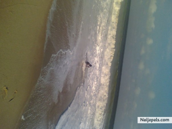  - click for next photo