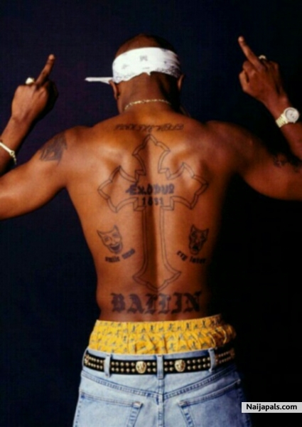 Thuglife - click for next photo