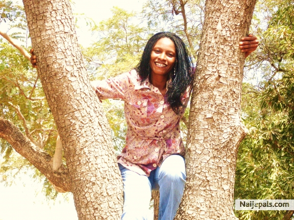me on tree top! hee,hee - click for next photo