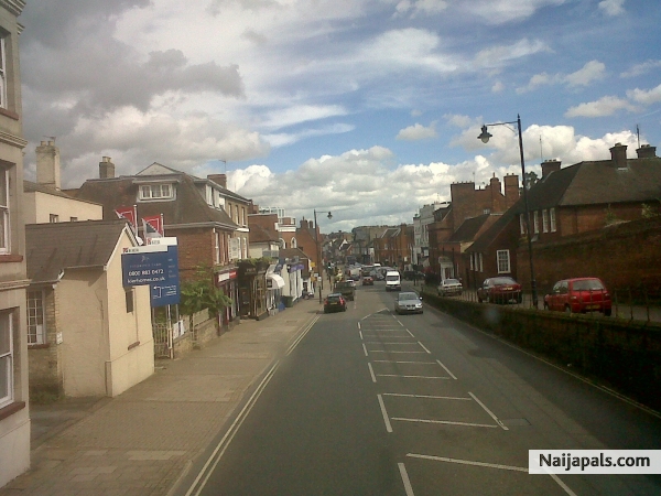 One lonely country side Newmarket - click for next photo