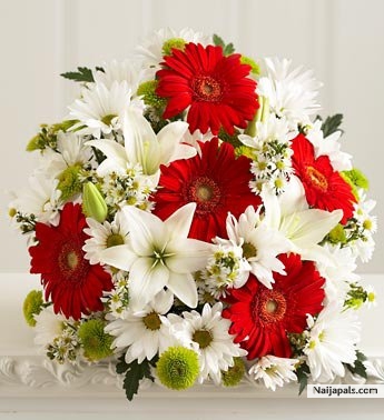 hi to naijapals - click for next photo