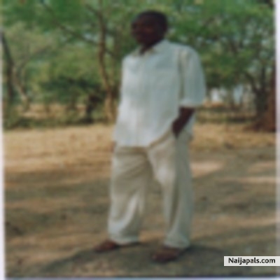 photo - click for next photo