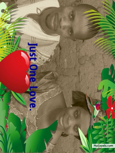 Just one love - click for next photo