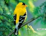 Hello, respect nature - click for next photo
