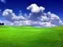 the world is beautiful - click for next photo