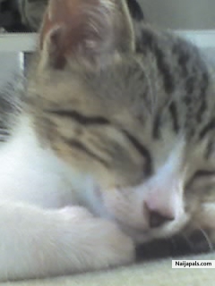 SHE WAS REALLY SLEEPY - click for next photo