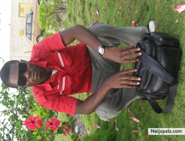 kingsley - click for next photo
