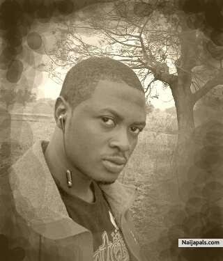 zed~i - click for next photo