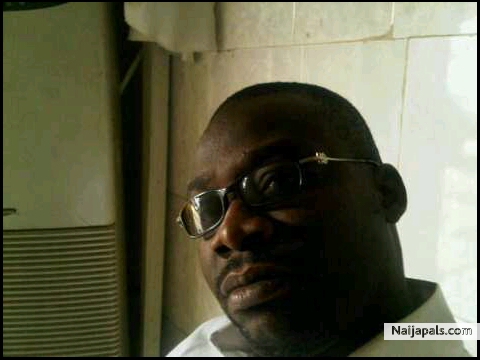 fine bobo - click for next photo
