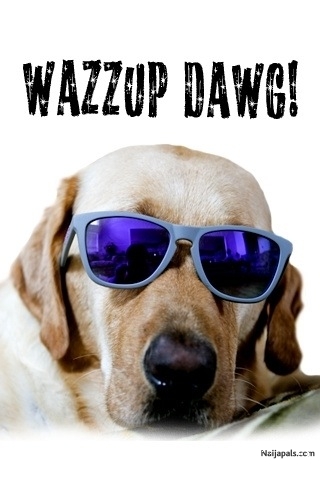 whats up dawg? - click for next photo