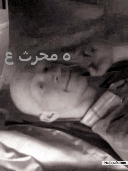 غحع' قث فاث لاثسف - click for next photo
