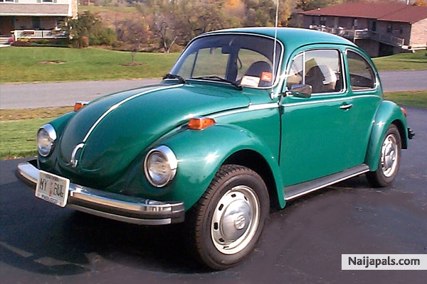 D Bug - click for next photo