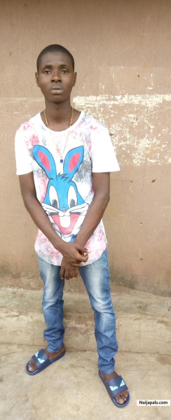  - click for next photo