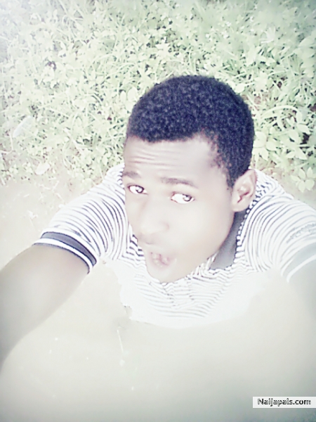 dp - click for next photo