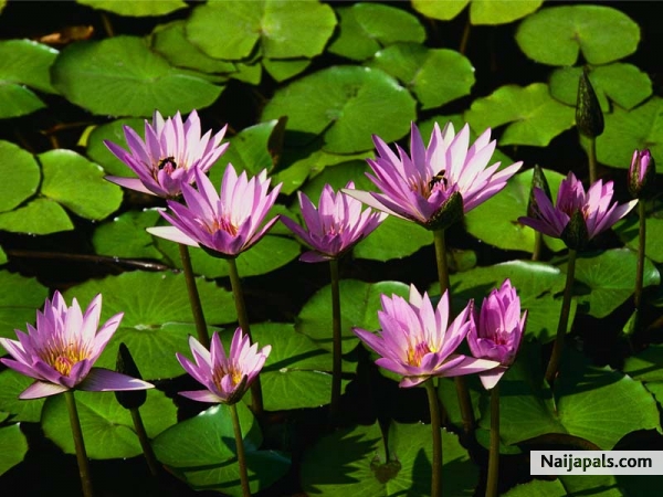 good lookng - click for next photo