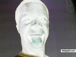 silver laughter - click for next photo