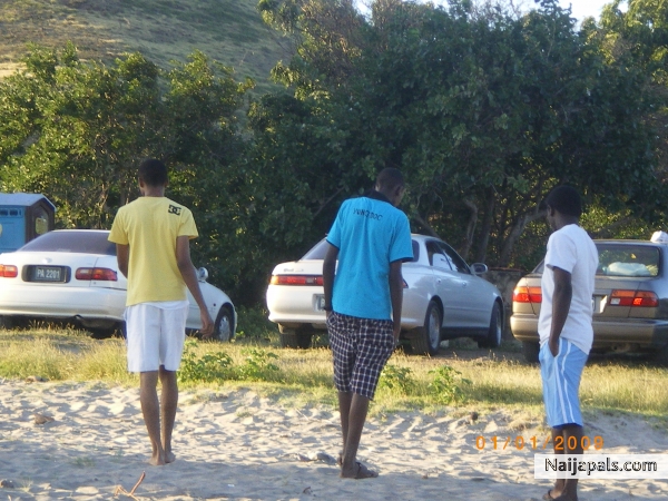 FLEXIN ST.KITTS - click for next photo