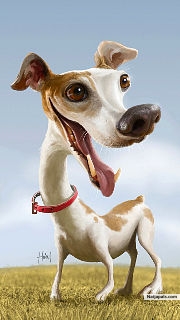 as meek as this,thats how i am. - click for next photo