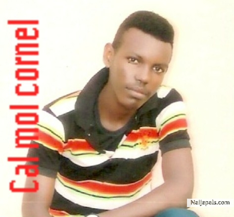  - click for next photo