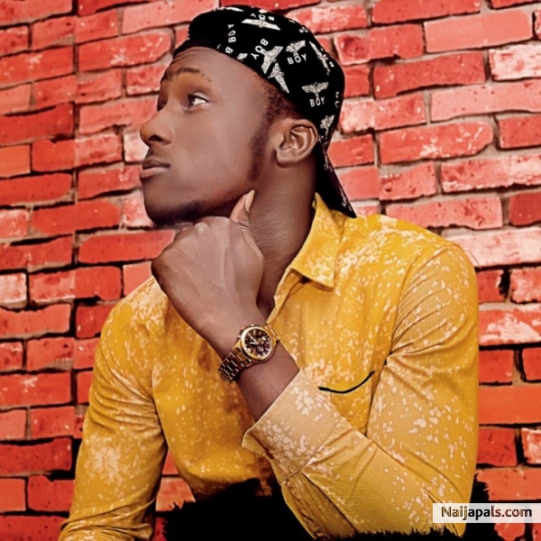 Flamez - click for next photo