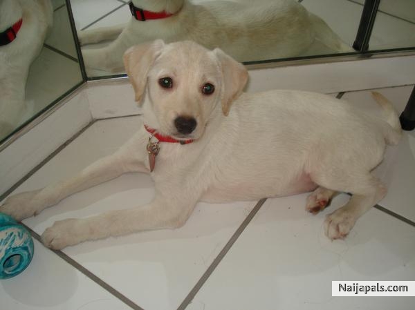 AWWWWWWWWWWWWWWWWW - click for next photo