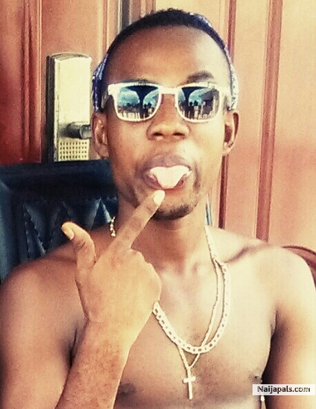 mrnoiz
