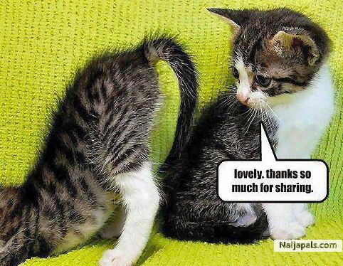 thanks for sharing ..lol - click for next photo