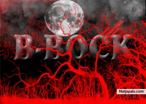 B-BOCK - click for next photo
